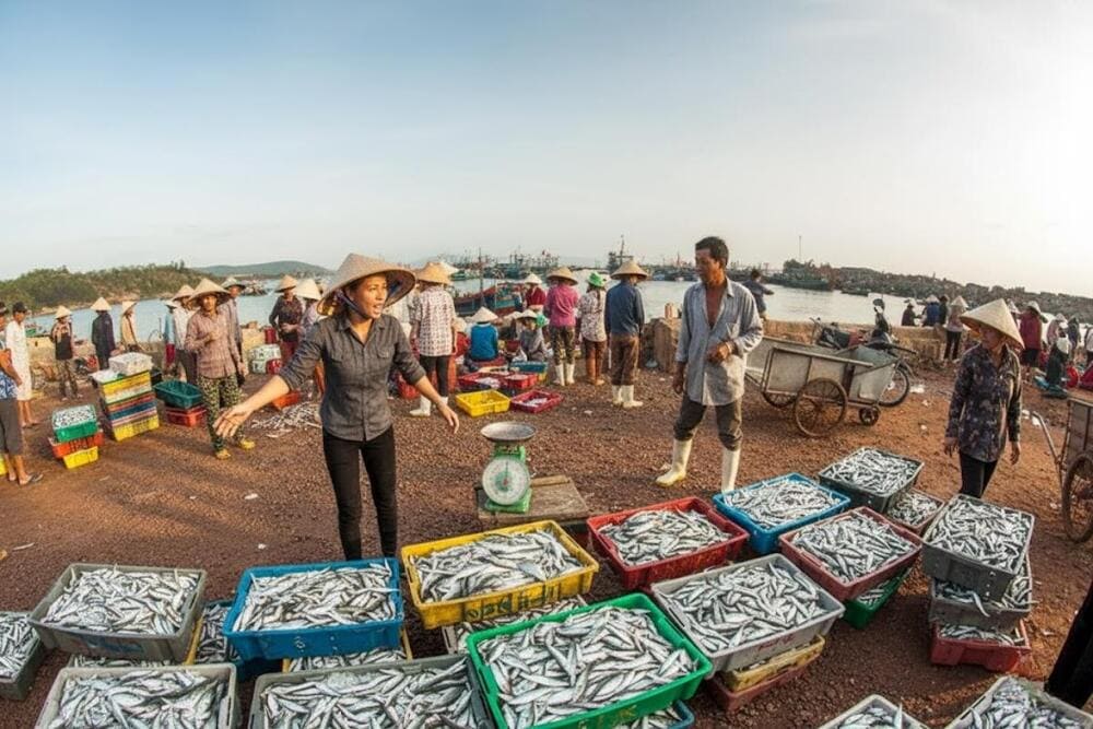 Vẻ đẹp thanh bình của chợ cá đảo Nghi Sơn